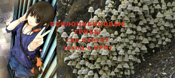 тгк Абаза