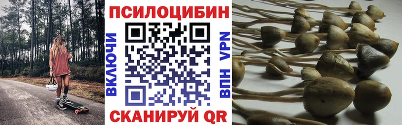 Псилоцибиновые грибы Psilocybe  ссылка на мегу вход  Кирс  цена  